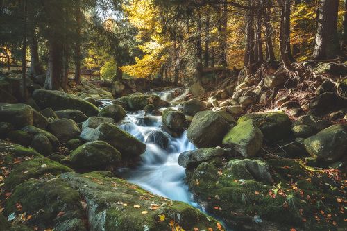 Autumn, Warm and Bright