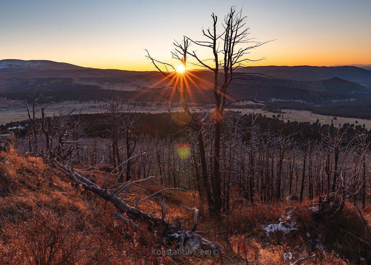 , Константин Дэм