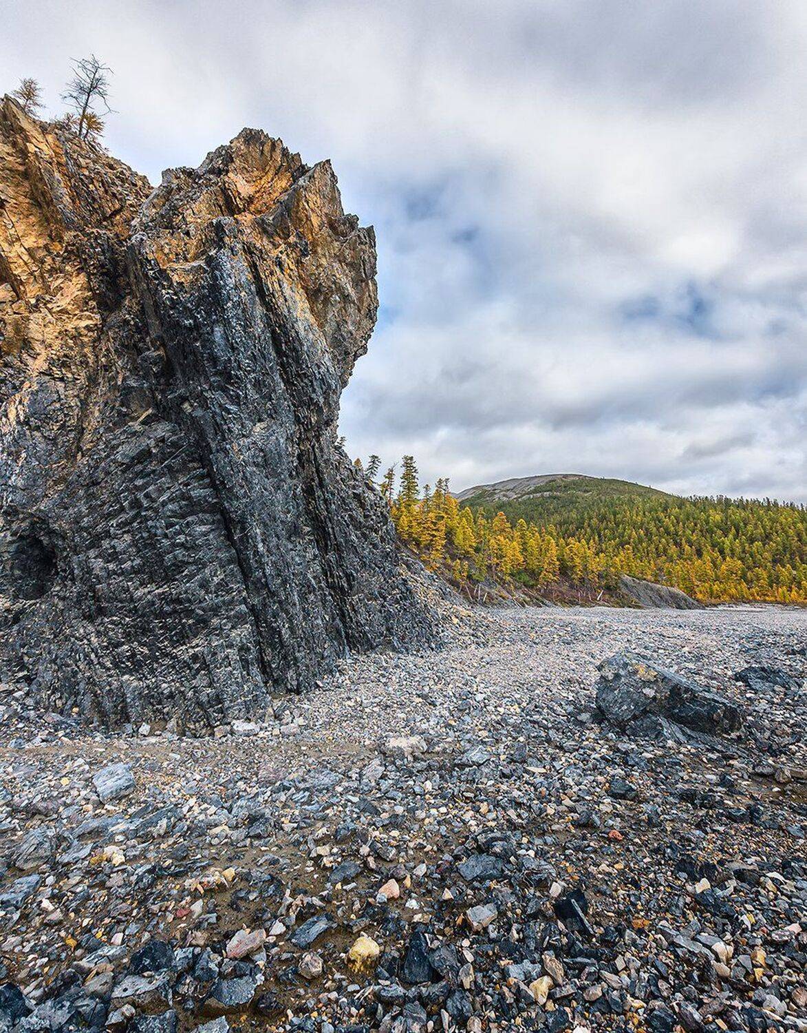 , Николай Андреев
