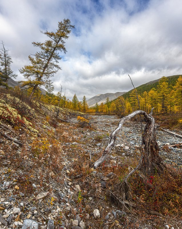 Ручей фото превью