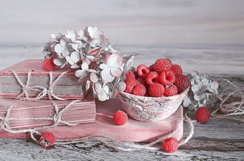 Натюрморт лето малина книги Гортензия радость  любовь Малиновые  воспоминания  фото превью