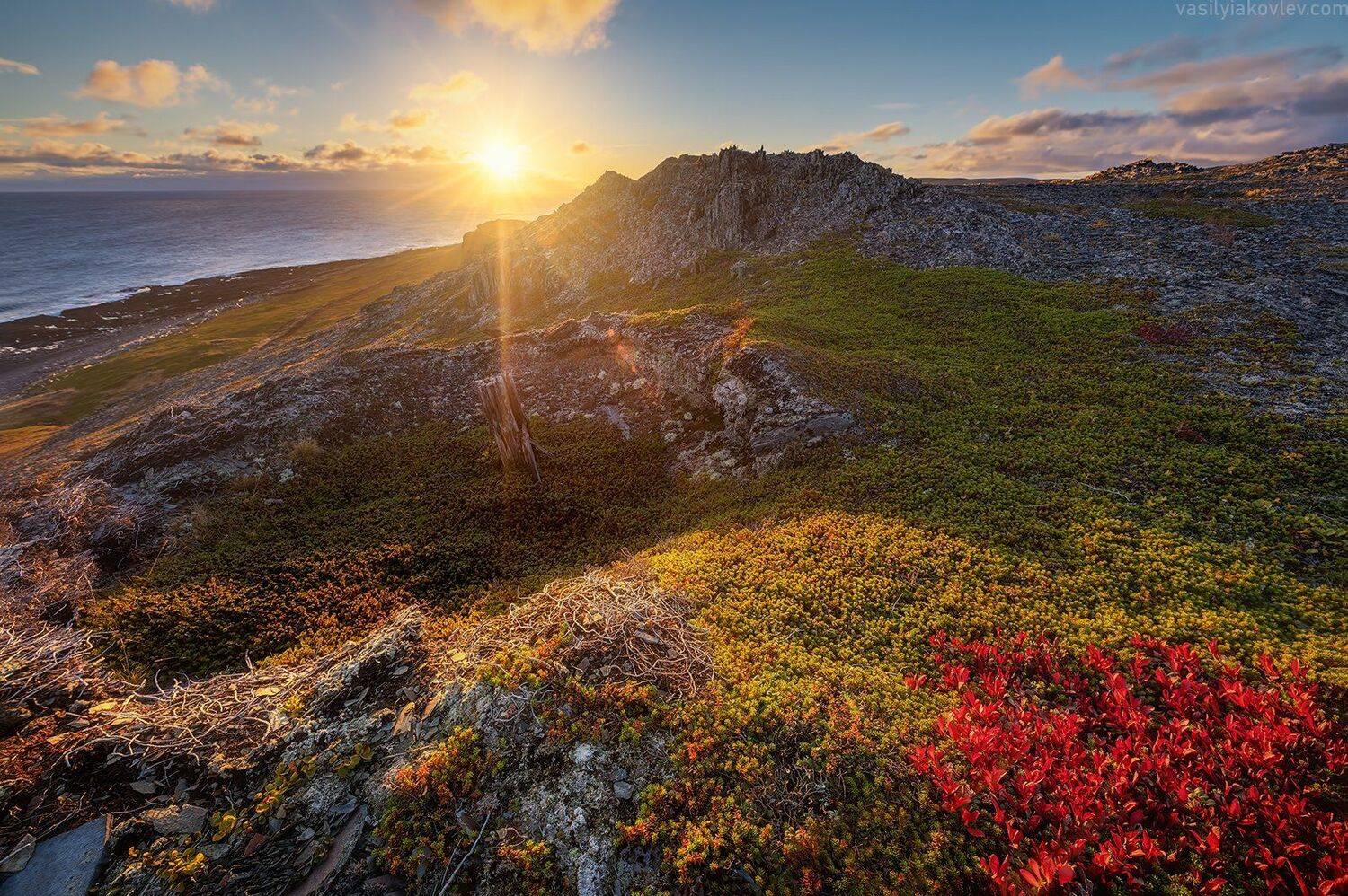 рыбачий, кольский, Василий Яковлев
