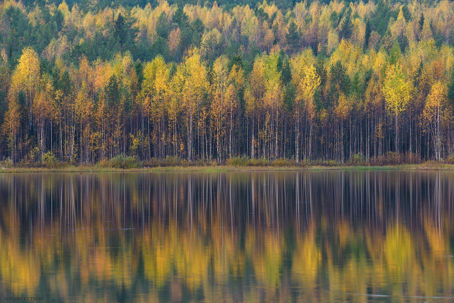 , Кутыгин Эдуард