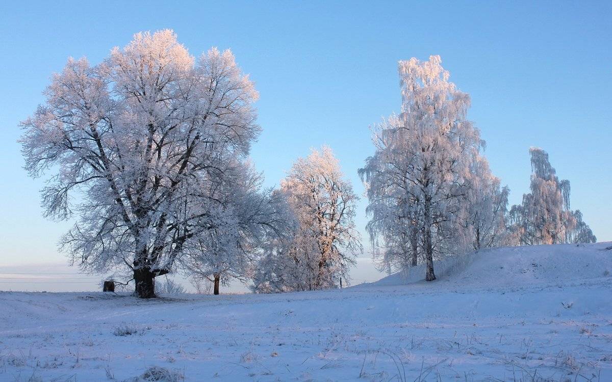 , Razgulyaev Aleksandr