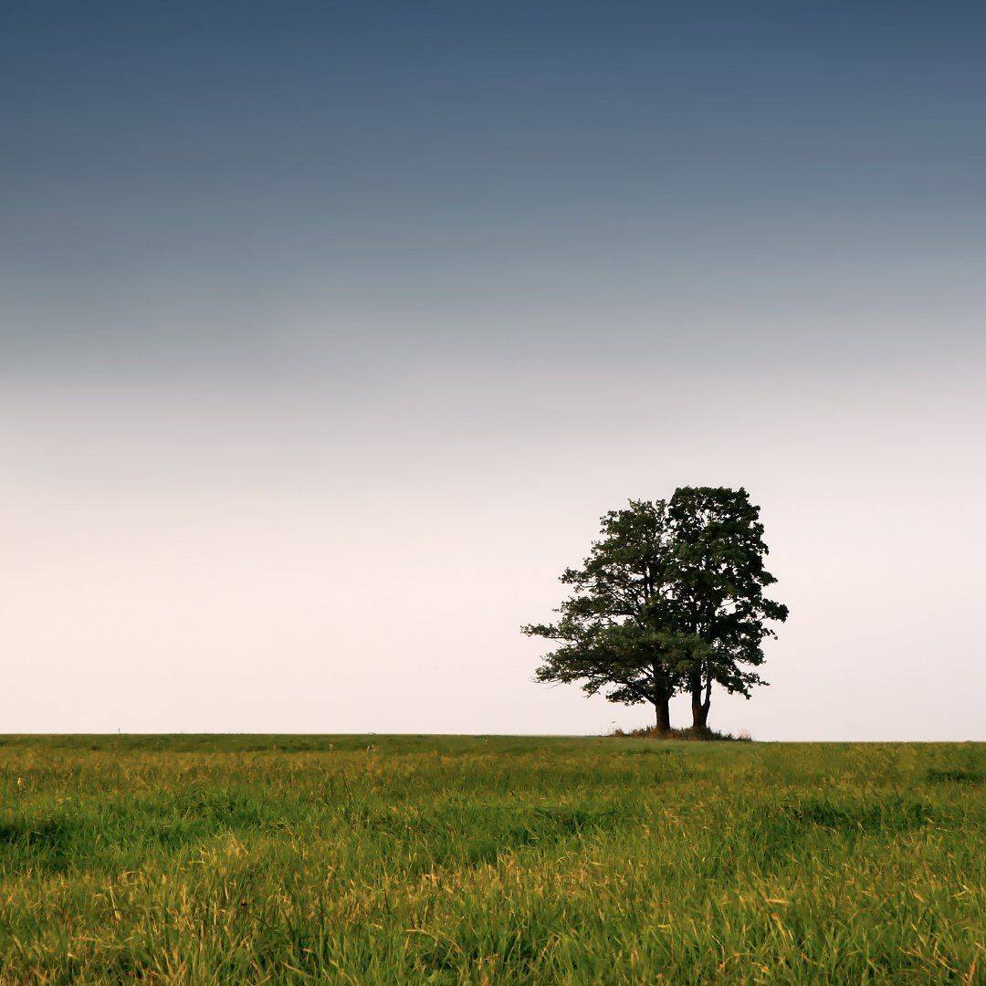 , Станислав Комов