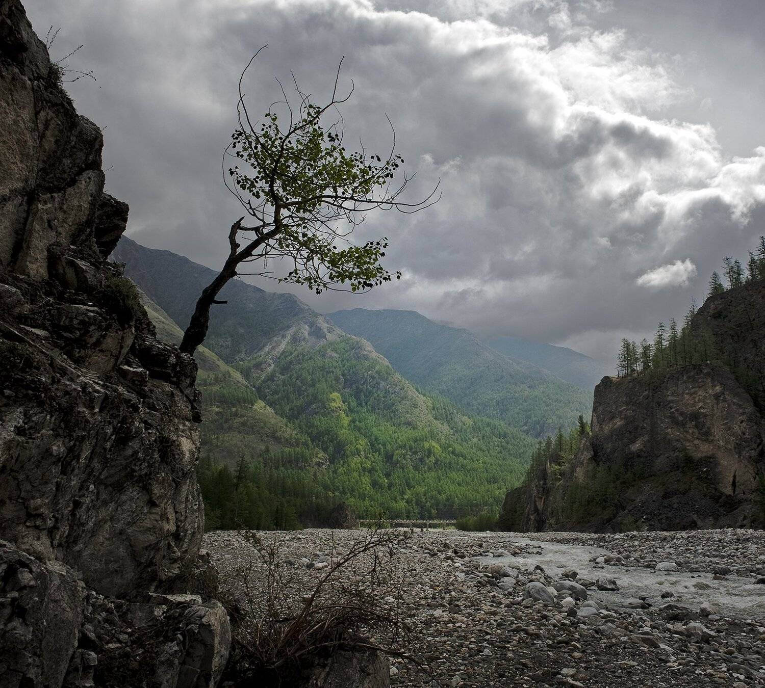 , Борис Леваков