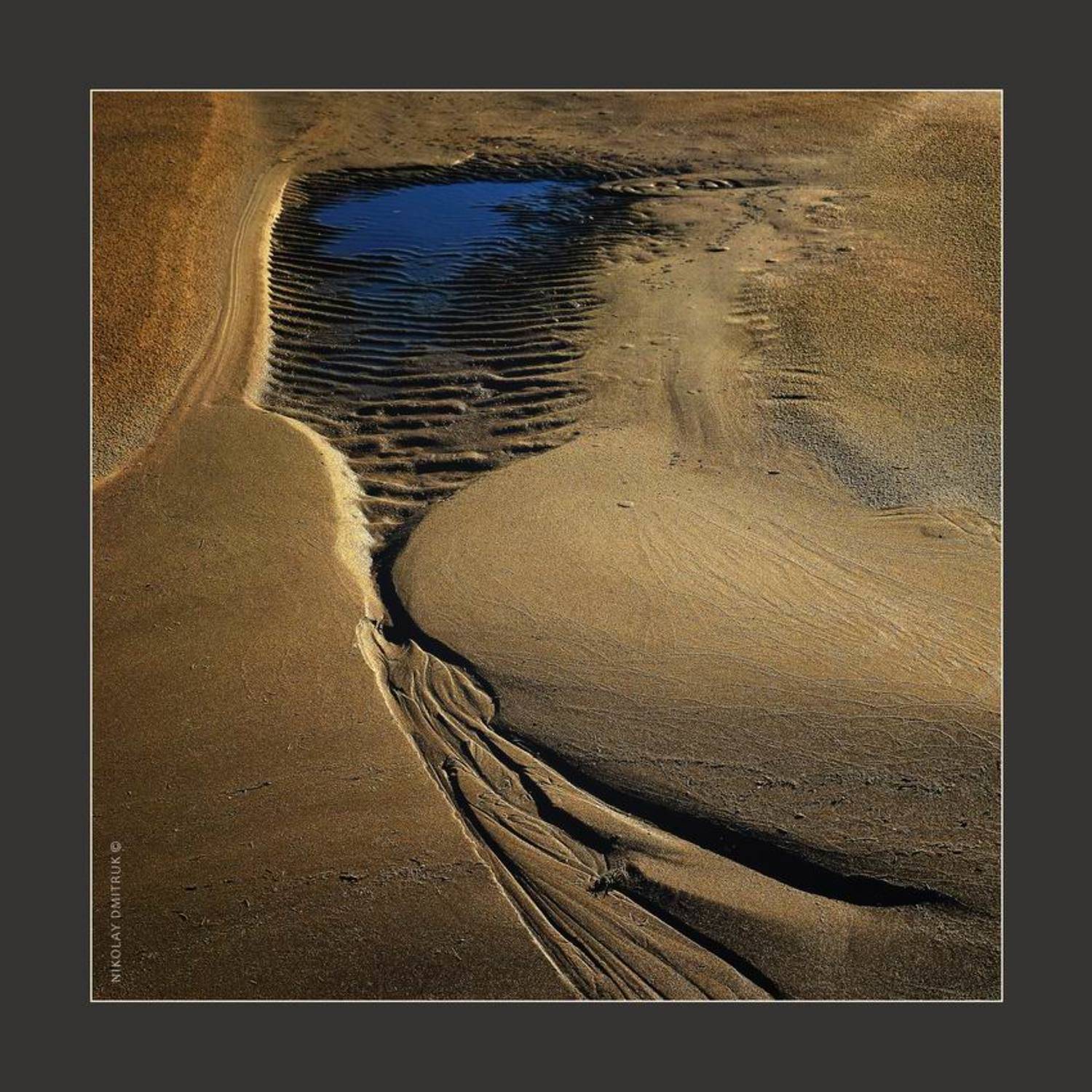 пейзаж, николай дмитрук