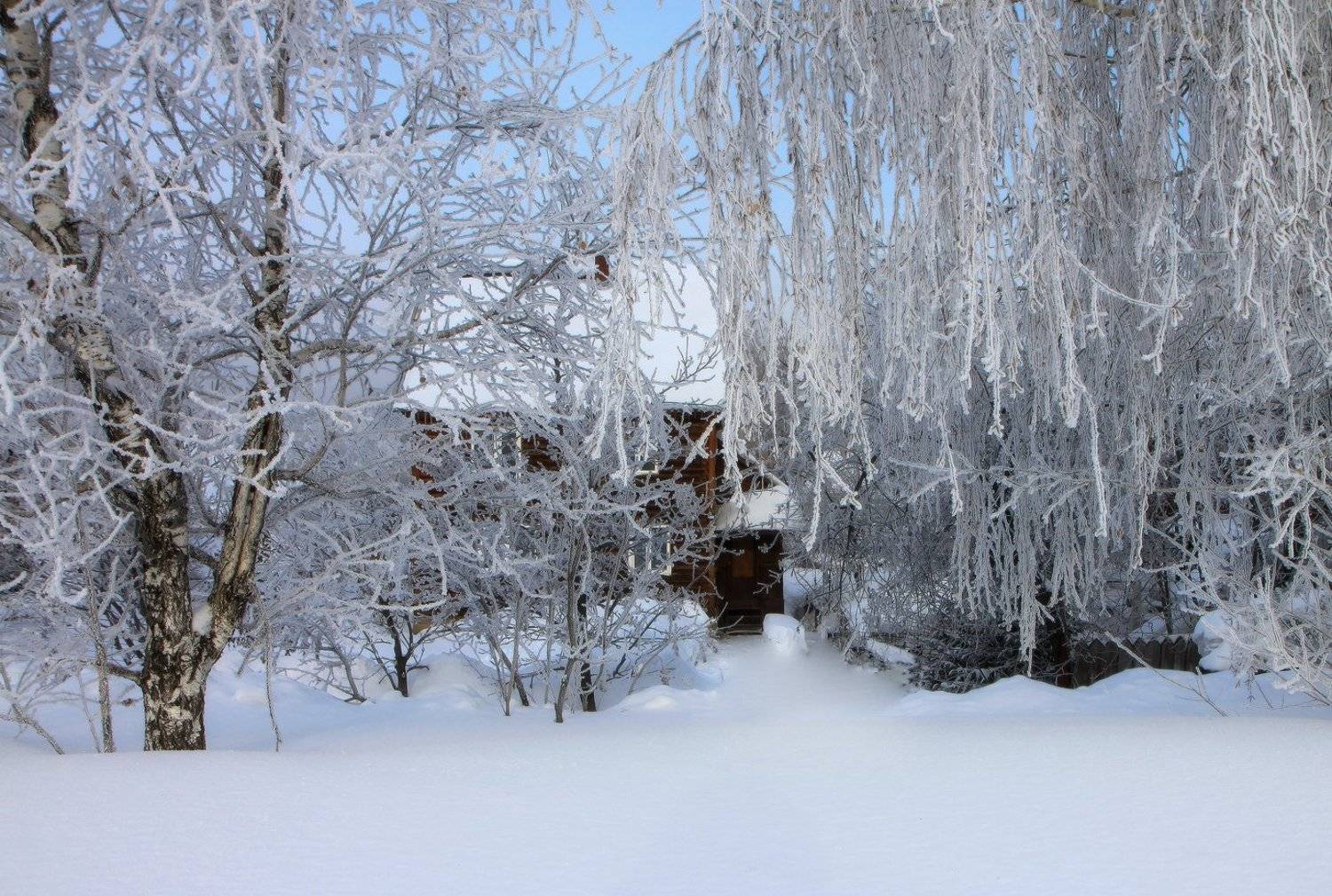 новокузнецк, сибирь, снег, зима, Галина Хвостенко