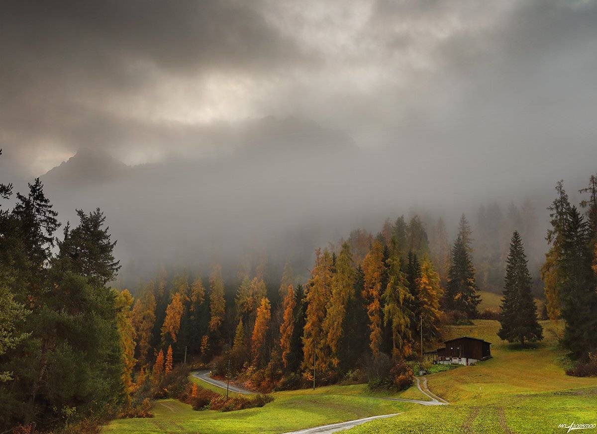 swiss, Матвеев Николай