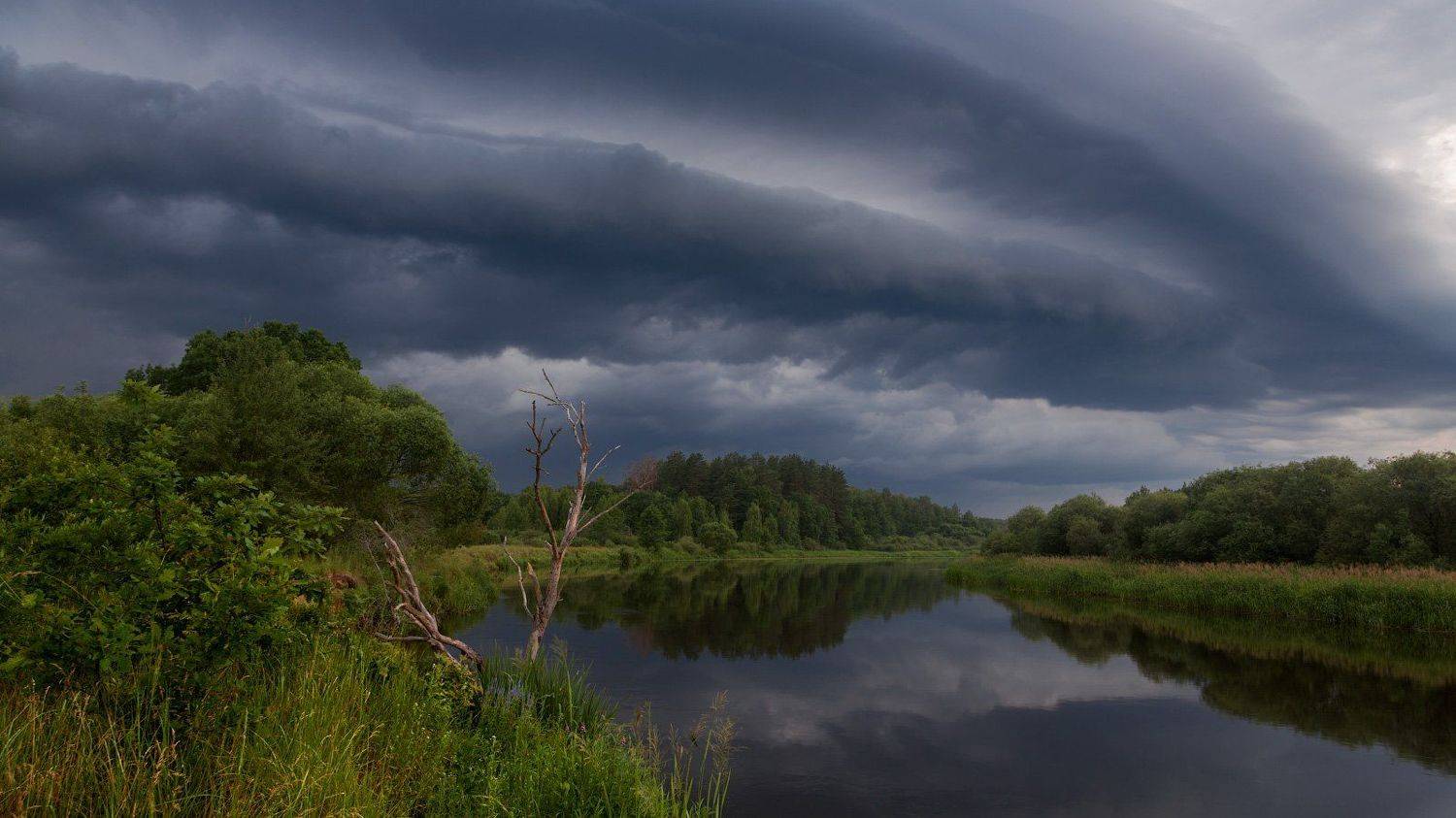 тучи, лето, река, отражение, травы, берег, Михаил Кушнер