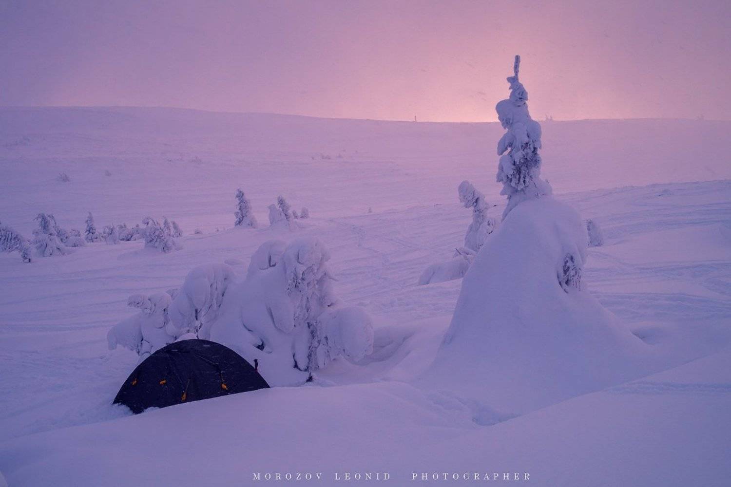 #nature, #туман, #лес, #oсень, #украина, #карпаты, #пейзаж, #закат, #туман, #солнце, #свет, #mountain range, #mountains, #туризм, #лес, #nature, #природа,, Леонид Морозов