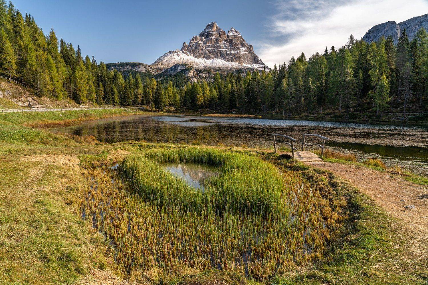 , Евгений Мерсон