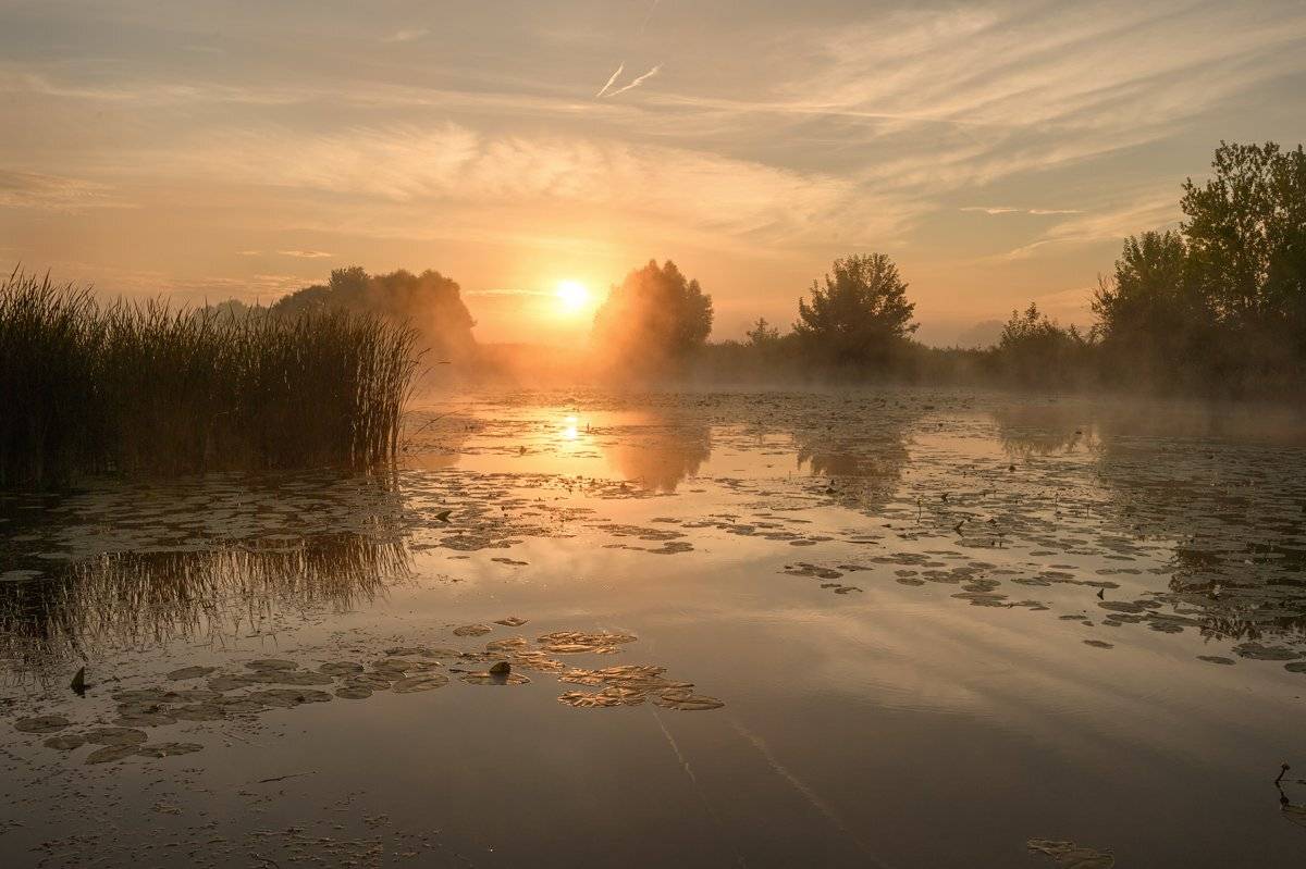 рассвет,лето,россия,туман,пейзаж, Юлия Лаптева