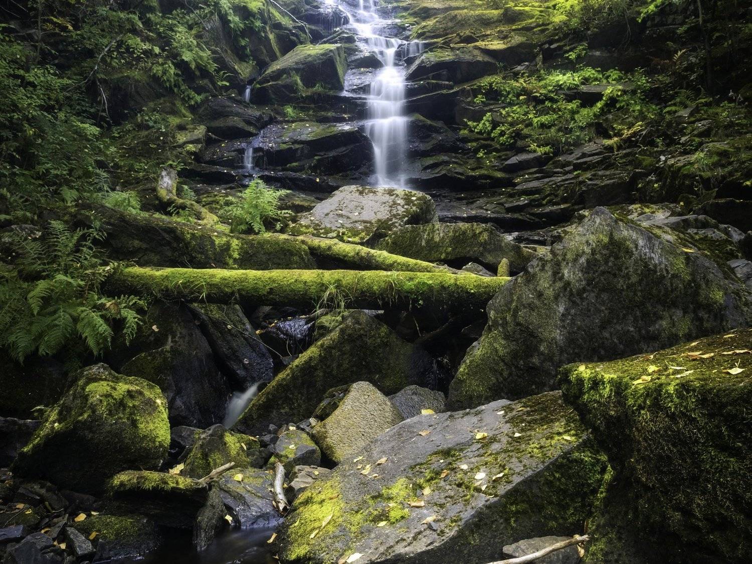 , роман фарберов