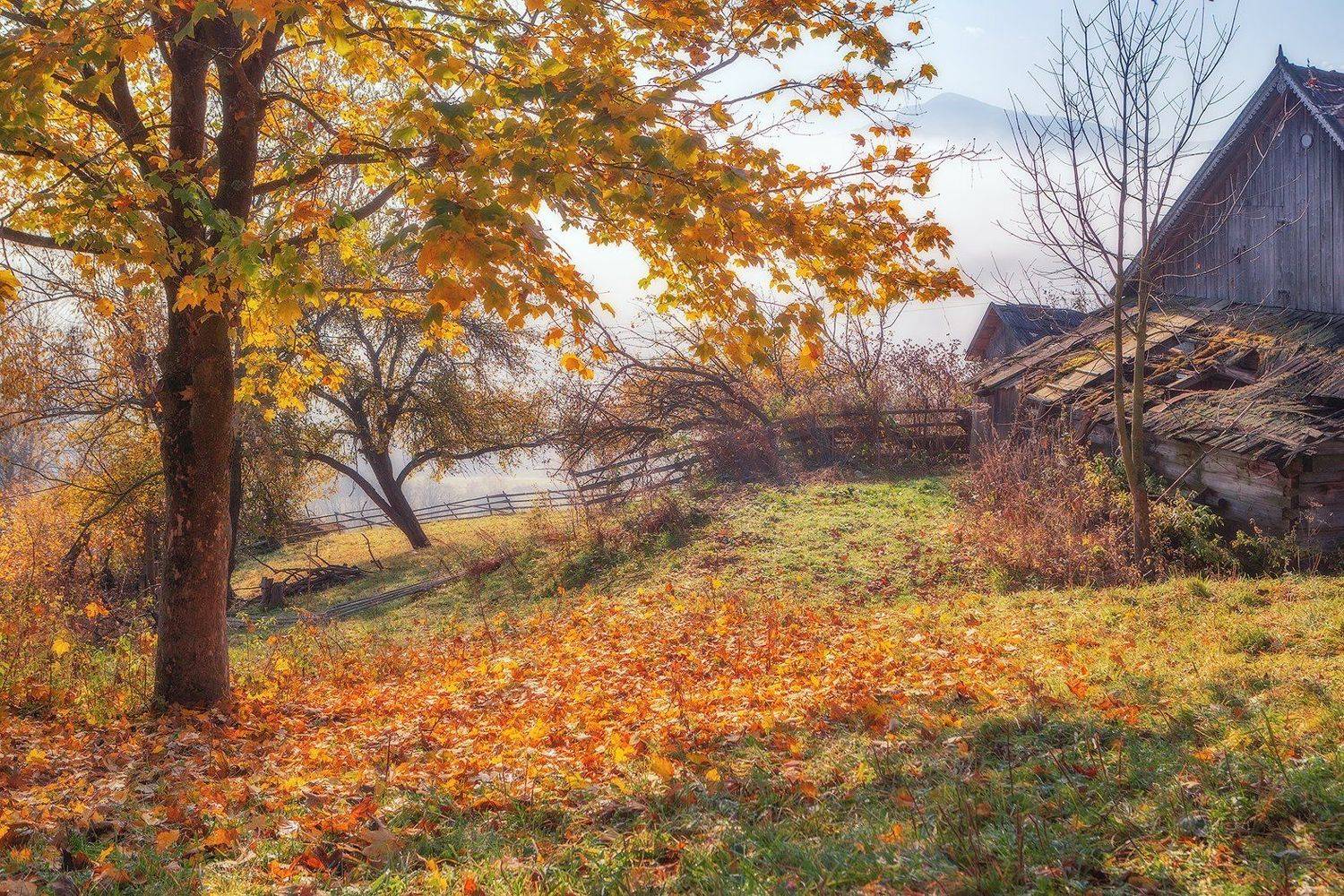 закарпатье, осень, рассвет, горы, Владимир Липецких