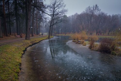 Декабрь в лесу (тест Fujifilm X-A5 Kit)