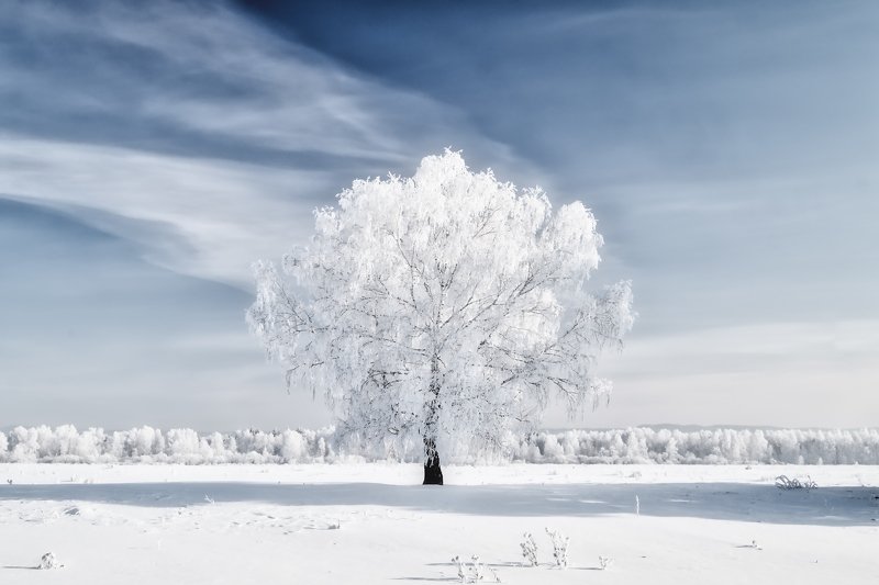 Безмолвие... фото превью