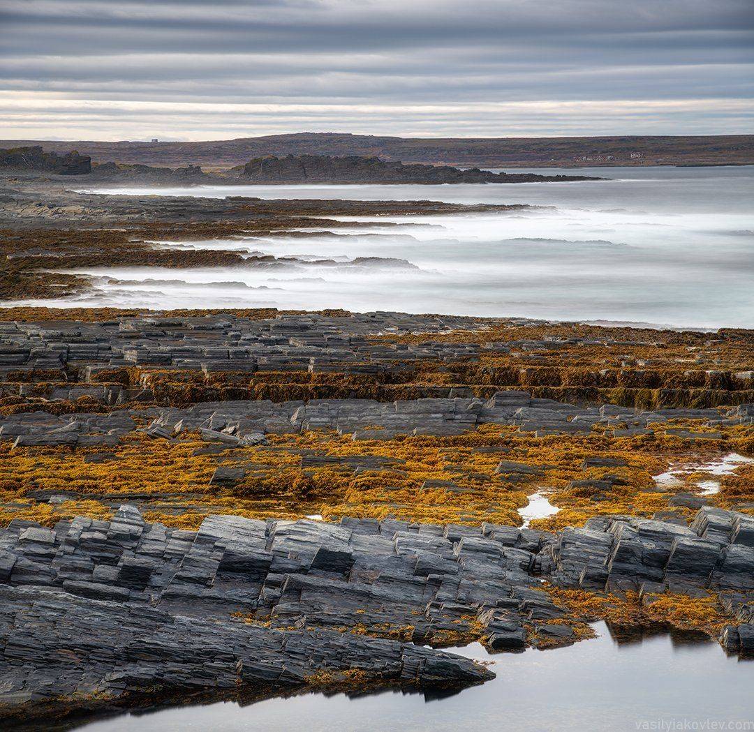 рыбачий, кольский, Василий Яковлев