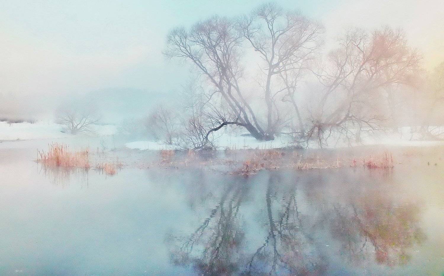 раніца, река, сонейка, Валерий Козуб