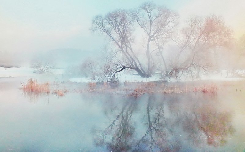 раніца, река, сонейка Зімовая раніца фото превью