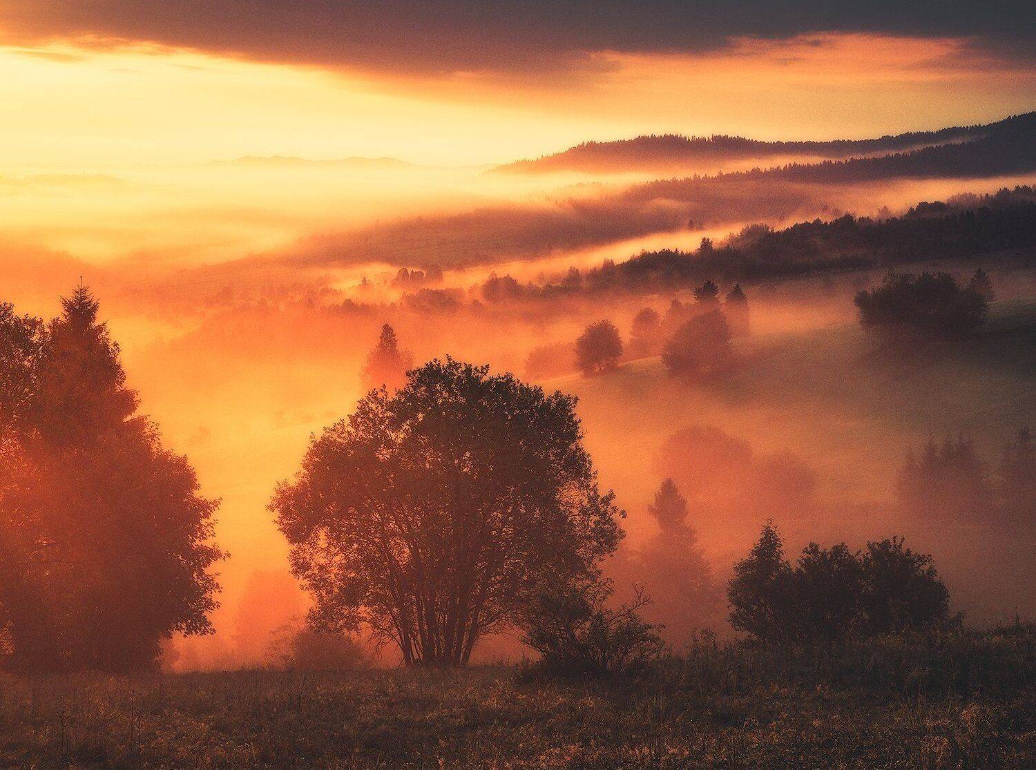 landscape, photogrpahy, love, nature, globalshotz,amazing,place,foggy,sunrise, Jakub Witos