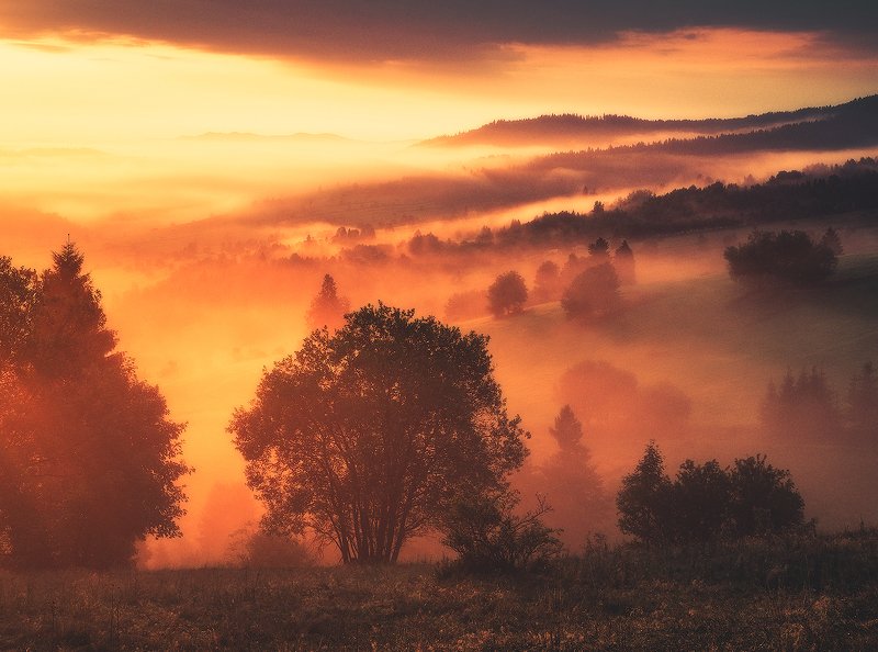 landscape, photogrpahy, love, nature, globalshotz,amazing,place,foggy,sunrise Foggy Sunrise фото превью