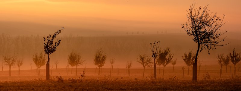 Пробуждение фото превью