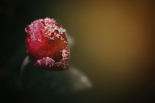 Welcome December!