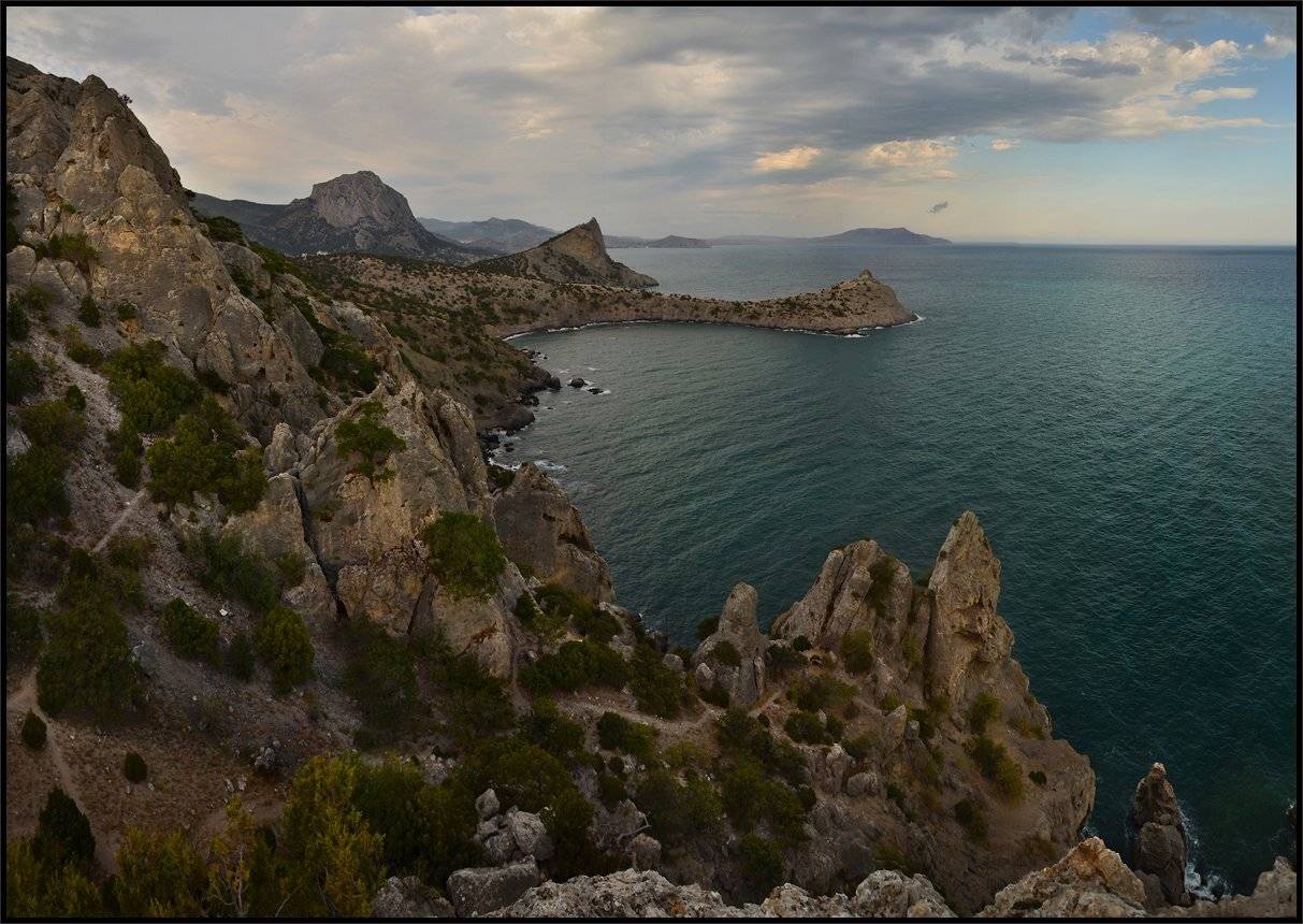 , Владимир Метцгер