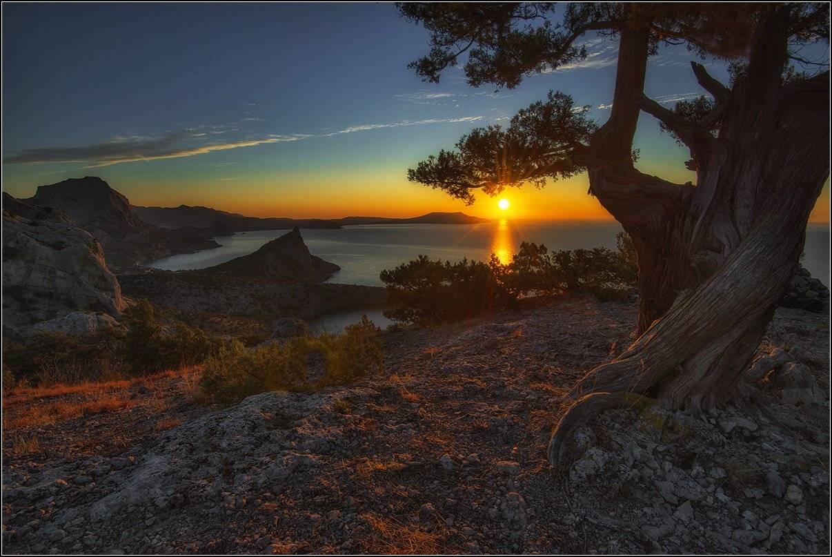 крым, новый свет, утро, солнце, АНАТОЛИЙ ДОВЫДЕНКО