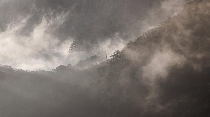 горы, деревья, лес, небо, облака, mountains, trees, forest, clouds Местами облачно фото превью