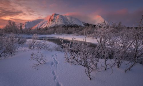 Первый день зимы