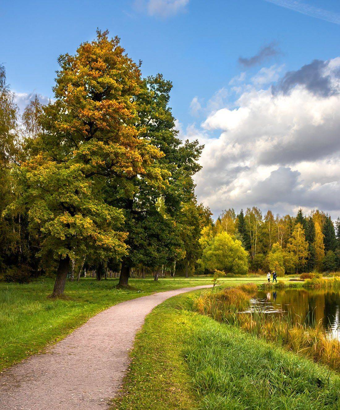 , Алексей Герасимов