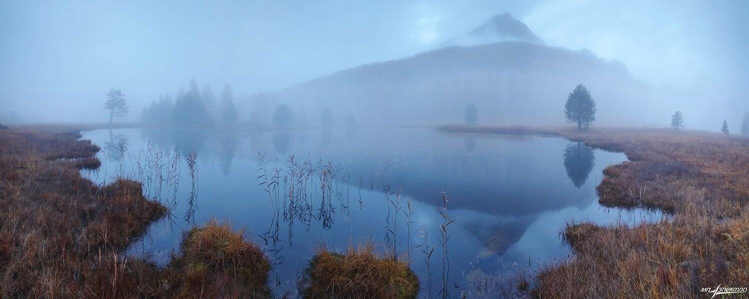 swiss, Матвеев Николай