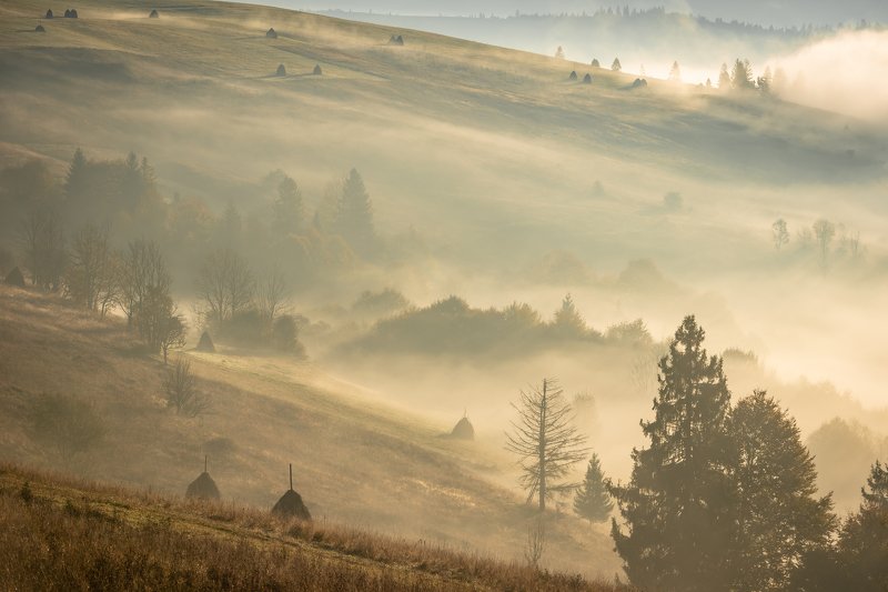 карпаты. осень. туман. рассвет Карпаты. Рассвет в долине фото превью