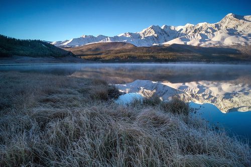 Одним морозным утром...