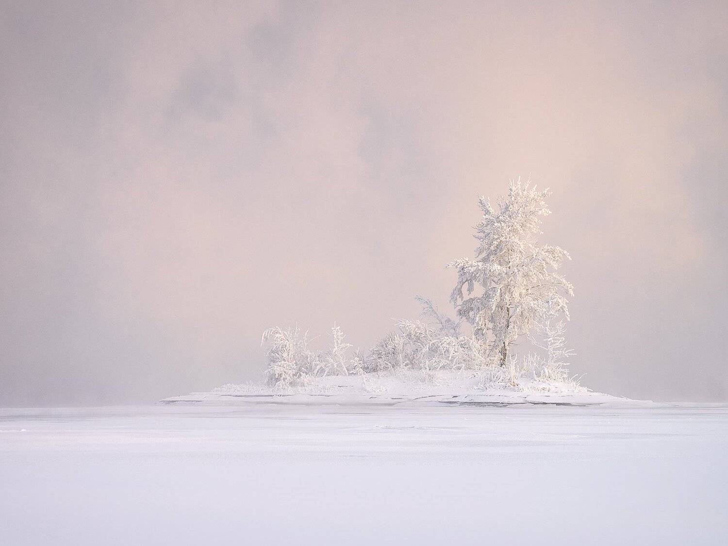 , Лещёнок Александр