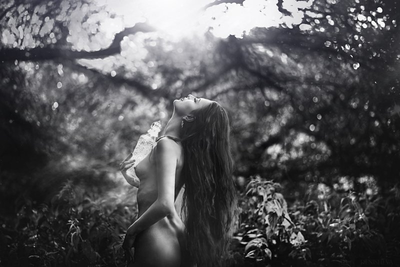 Про свет в лесу фото превью