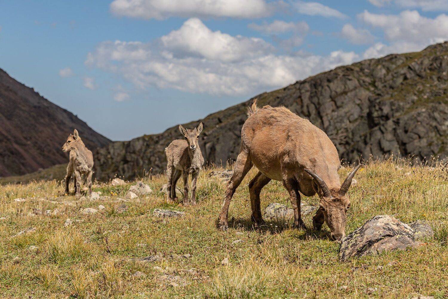 , Илья Михеев
