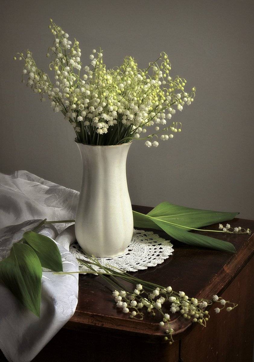 сергей алексеев, Сергей Алексеев