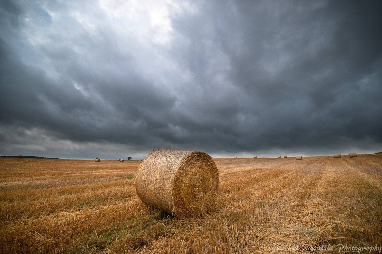 harvest, ,agriculture, ,season, ,summer, ,crops, ,sky, ,clouds, ,orange, ,, Michal Rozalski