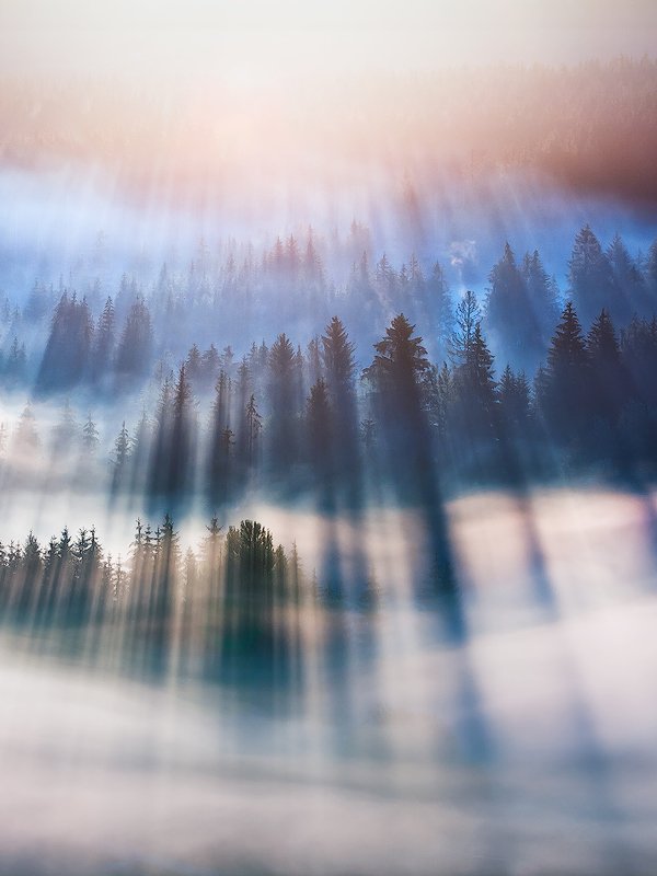 Revival фото превью