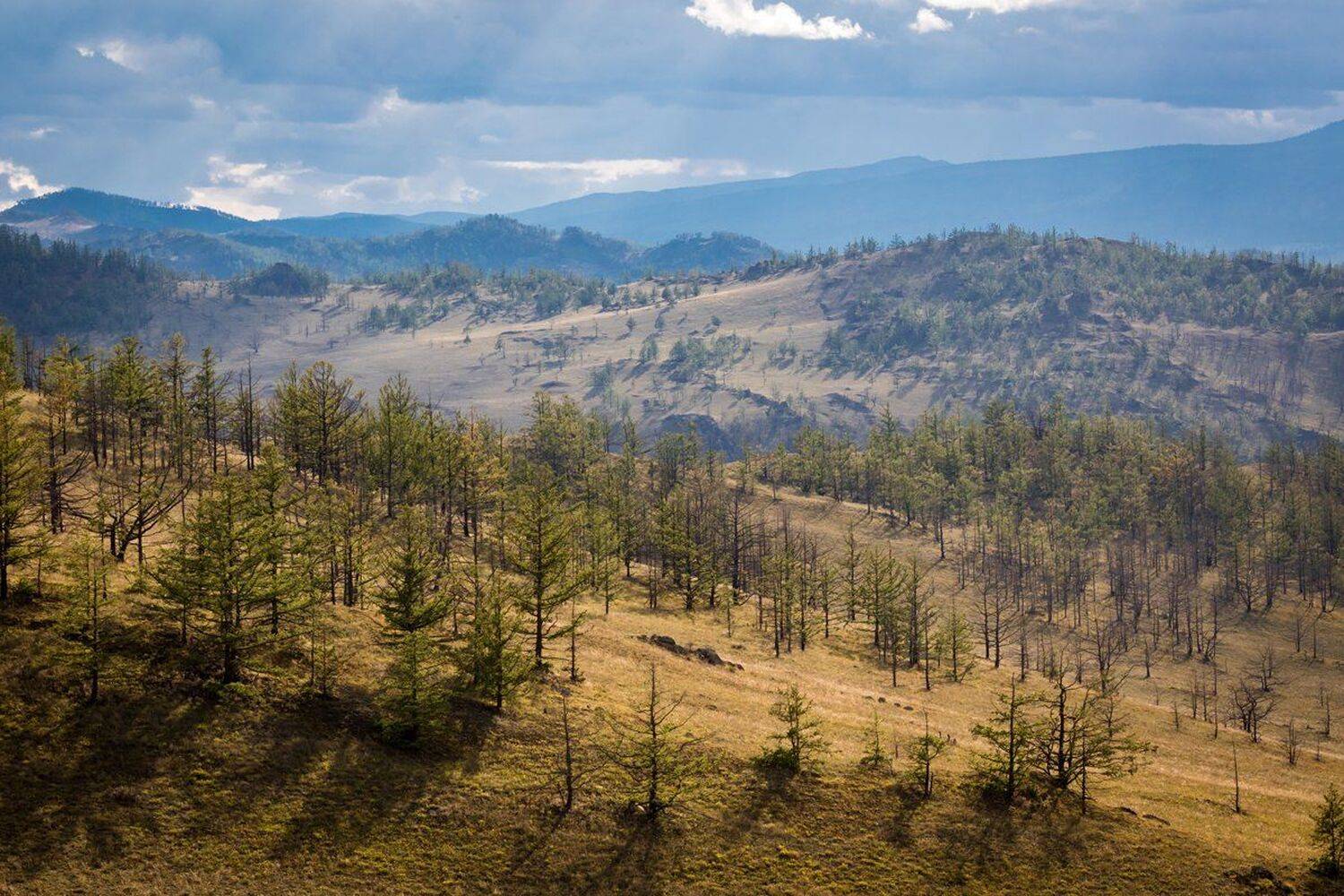 горный, пейзаж, бурятия, тажеранские, степи, сибирь, дальний, восток,, Вячеслав Мельников