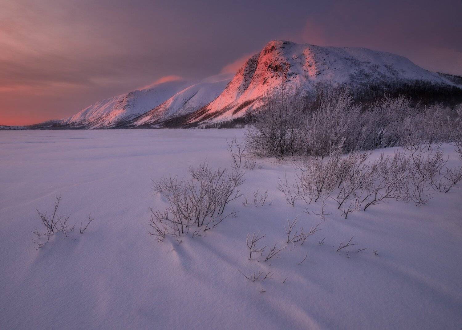 пейзаж,россия,хибины,горы,кольский,север,зима,небо,рассвет, Виталий Истомин
