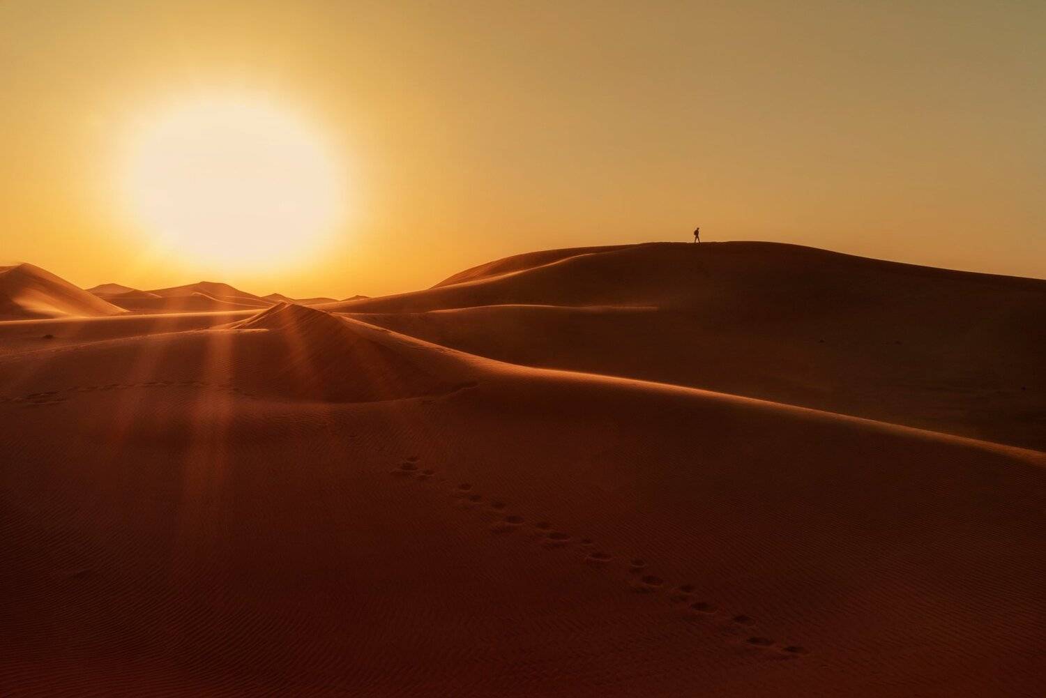 Oman,sun,desert, hussein najem