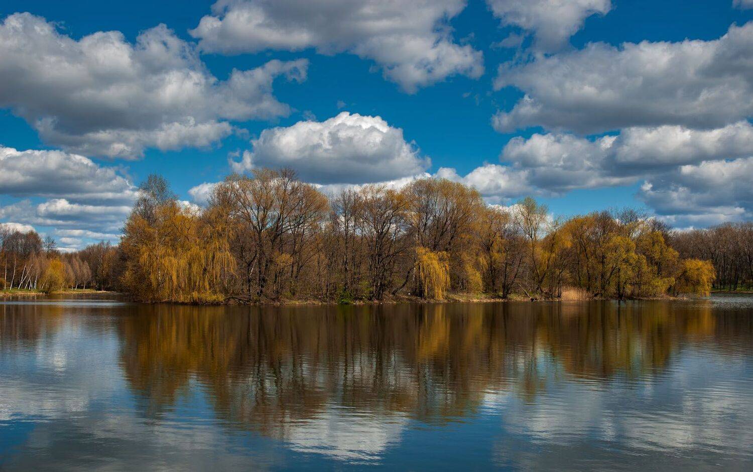, Сергей Харитон