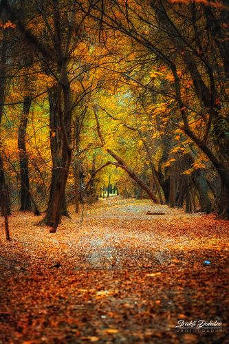 The end of Autumn