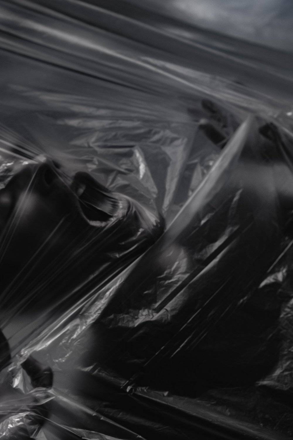 pavelskvortsov, Pavel Skvortsov