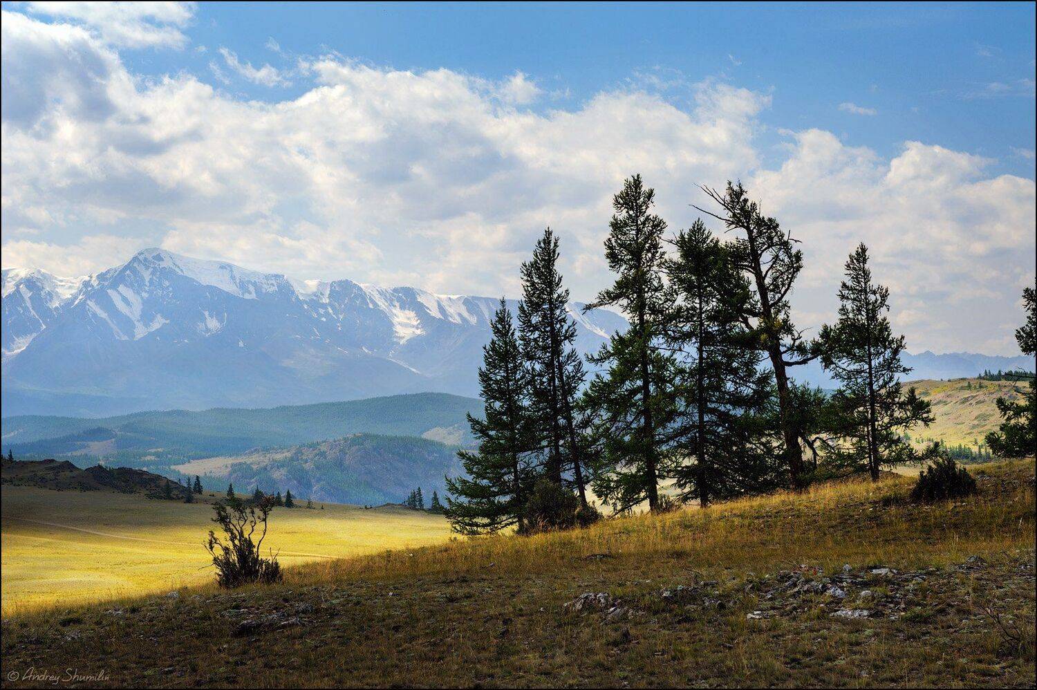 алтай, курайская степь, горный алтай, республика алтай, горы, Андрей Шумилин