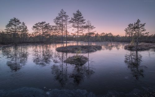 Свежий лёд